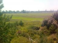 Серкізів з panoramio.com