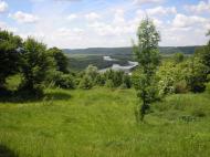 Сокіл з panoramio.com