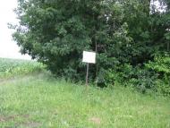 Ракова з panoramio.com