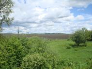 Жищинці з panoramio.com