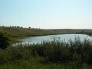 Сніжки з panoramio.com