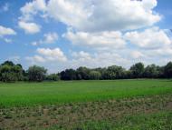 Будилів з panoramio.com