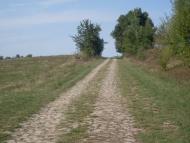 Тимар з panoramio.com