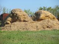 Кордон з panoramio.com