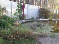 Раківка з panoramio.com