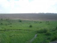 Рудка з panoramio.com