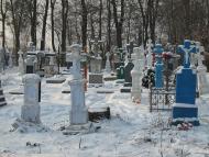 Ріпнів з panoramio.com