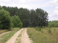 Зноб-Новгородське з panoramio.com
