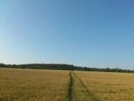 Бірки з panoramio.com