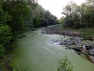 Синичине з panoramio.com - Synychyne