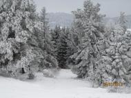 Дністрик-Дубовий з panoramio.com