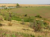 Балахівка з panoramio.com