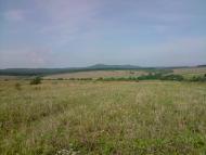 Конів з panoramio.com