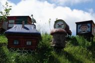 Буковець з panoramio.com