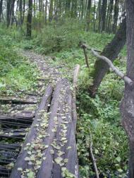 Бушеве з panoramio.com - Бушево