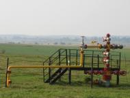 Ковиничі з panoramio.com