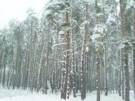 Зачепилівка з panoramio.com