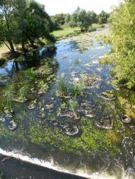 Кончаки з panoramio.com