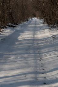 Коврай з panoramio.com