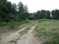 Пиротчине з panoramio.com