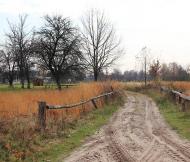 Житнівка з panoramio.com