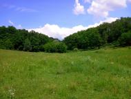 Тарасівка з panoramio.com