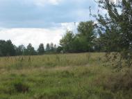 Кропивня з panoramio.com