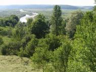 Сокіл з panoramio.com