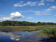 Кончаки з panoramio.com