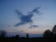 Одрубок з panoramio.com