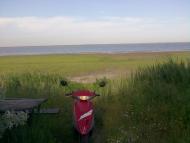 Ленінське з panoramio.com