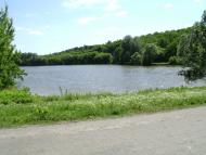 Брагинці з panoramio.com