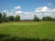 Лисогубівка з panoramio.com