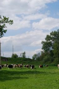 Ждани з panoramio.com