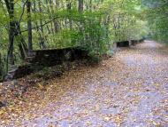 Скоморохи з panoramio.com