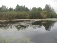 Піски з panoramio.com