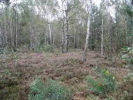 Рудня-Гацьківка з panoramio.com