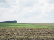 Вила з panoramio.com - Вила