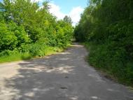 Вільшане з panoramio.com