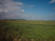 Коцюри з panoramio.com