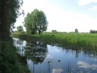 Богданівка з panoramio.com