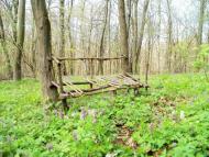 Водники - Останні фото