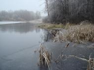 Клітня з panoramio.com