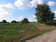 Попівка з panoramio.com