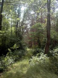 Коцюри з panoramio.com