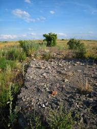 Малокостянтинівка з panoramio.com