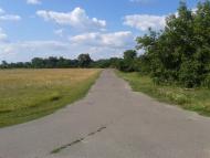 Шепелівка з panoramio.com