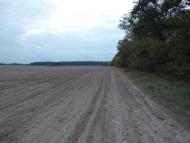 Лутава з panoramio.com