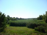 Врадіївка з panoramio.com