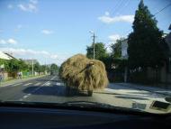 Велика Копаня з panoramio.com